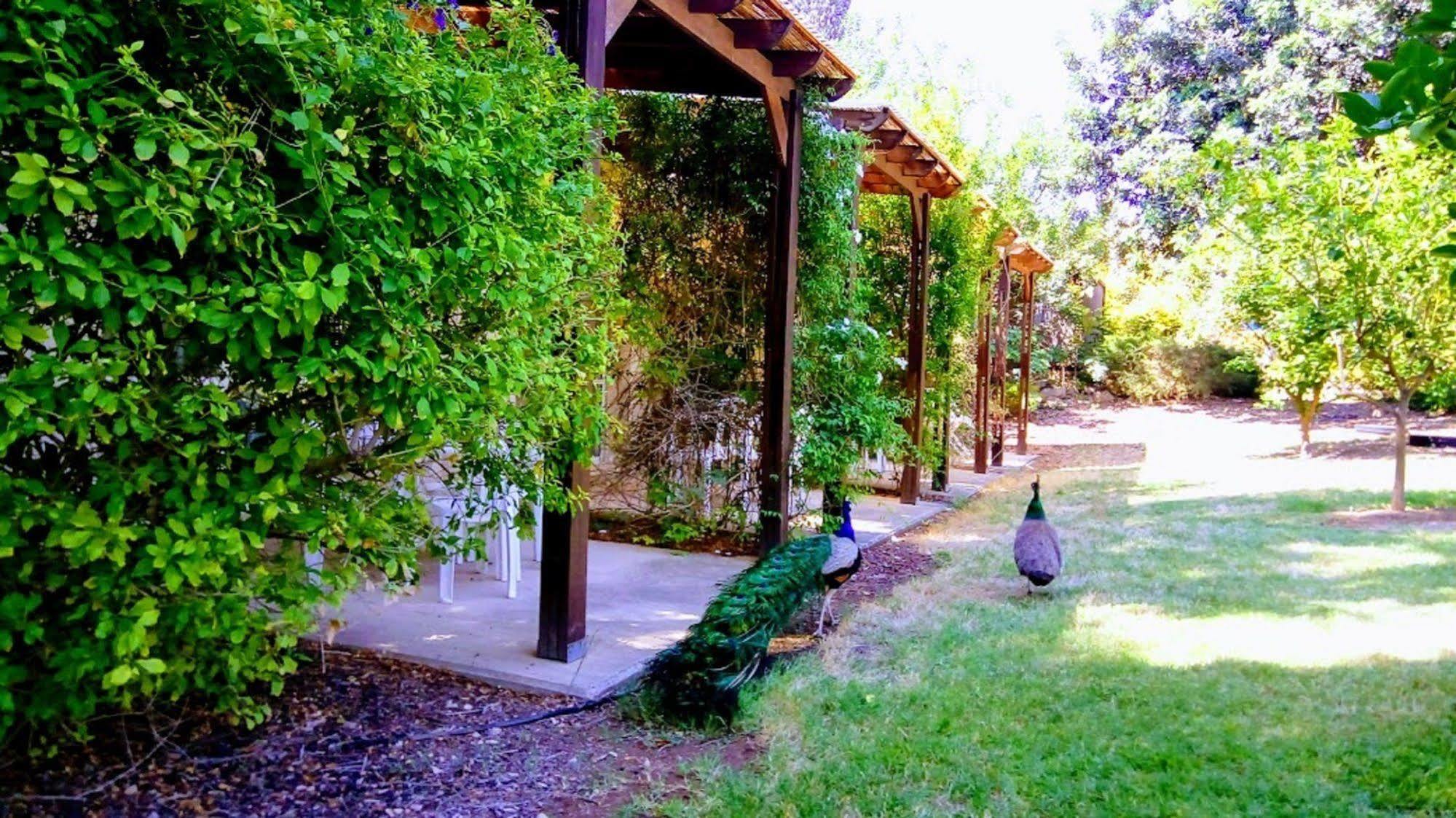 Kibbutz Tiratzvi - Country Lodging Tirat Zevi Exterior photo